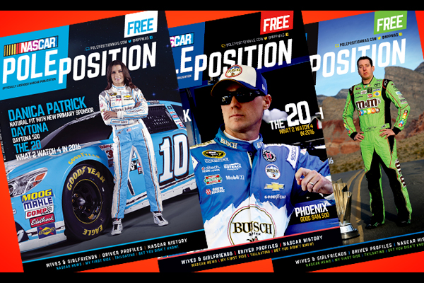 ae-blog-2016-npp-covers